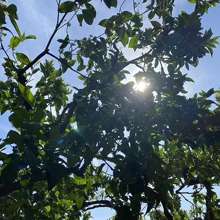 Il Giardino Degli Aranci * Taormina