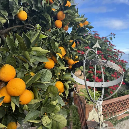 Appartement Il Giardino Degli Aranci Taormina